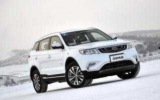 国产 jav,国产Java技术发展与应用全景解析