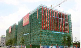 国产a1区,引领科技前沿的创新发展之路